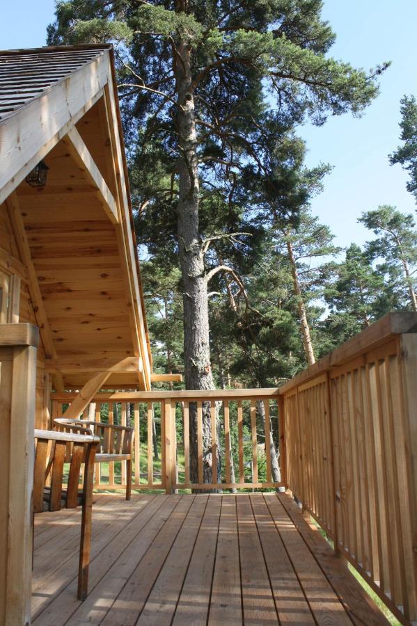 Cabane Lodge Domaine Du Lac Chambon Murol Luaran gambar